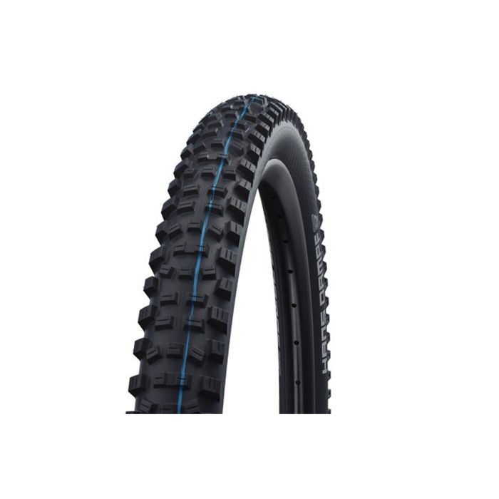 Schwalbe Pneu Hans Dampf main product photo